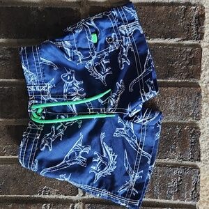 Baby Dinosaur Swim Trunks